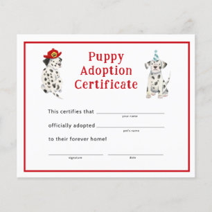 Dalmatiërs Jongen Partij Puppy Adoptie Certificaat