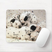 Dalmaties Muismat (Met muis)