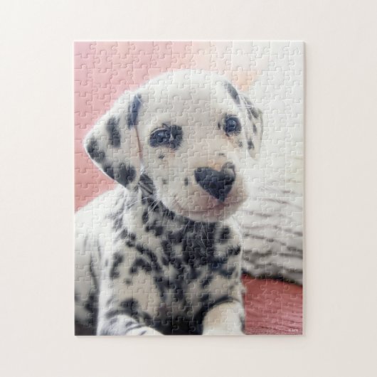 Dalmatiner Hart Neus Legpuzzel (Verticaal)
