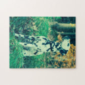 Dalmatiner Legpuzzel (Horizontaal)