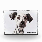 Dalmation Dog. Fotoblokken (Voorkant)