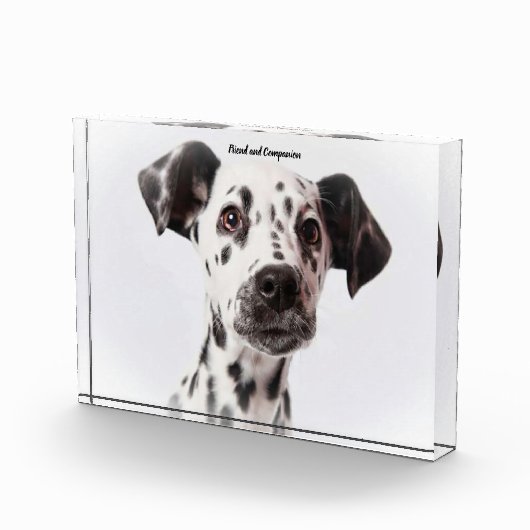 Dalmation Dog. Fotoblokken (Rechts)