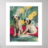 Dalmation Puppies Poster (Voorkant)