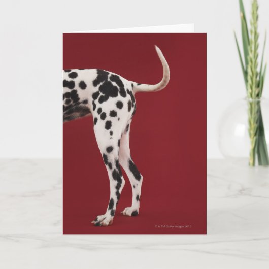 Dalmatisch Achtergedeelte Kaart (Voorkant)