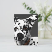 Dalmatisch, Postcrossing Briefkaart (Staand voorkant)