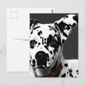 Dalmatisch, Postcrossing Briefkaart (Voorkant / Achterkant)