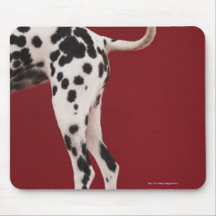 Dalmatische achterkant muismat