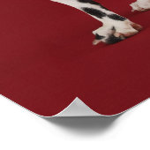 Dalmatische achterkant poster (Hoek)