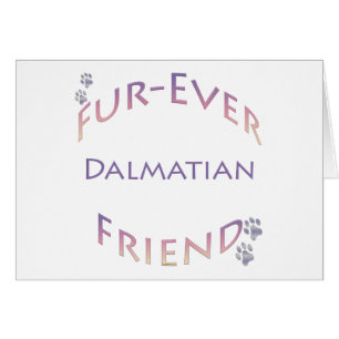 Dalmatische Furever
