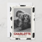 Dalmatische Furever Young 1st Birthday Pawty Kaart (Achterkant)