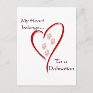 Dalmatische Hart behoort Briefkaart