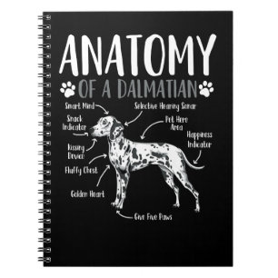 Dalmatische Hond Anatomie 59 Hond Liefhebber Notitieboek