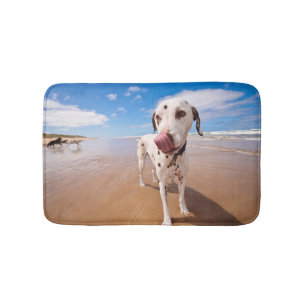 Dalmatische hond op strand badmat