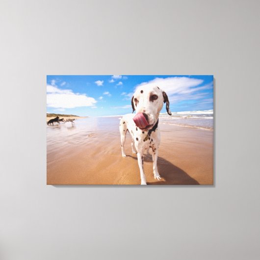 Dalmatische hond op strand canvas afdruk (Voorkant)