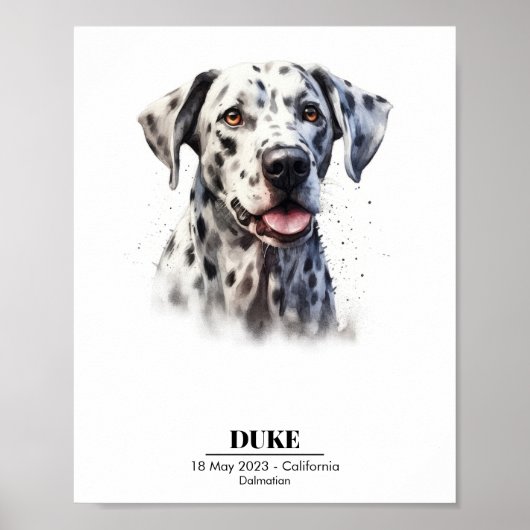 Dalmatische Hond Poster (Voorkant)