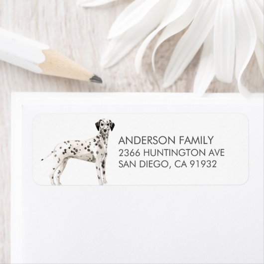 Dalmatische hond retour adres label (Insitu)