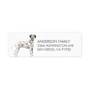 Dalmatische hond retour adres label