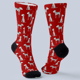 Dalmatische hond rood sokken
