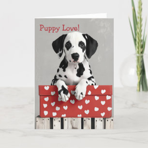 Dalmatische hond Valentijn Kaart