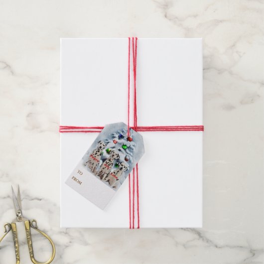 Dalmatische kerstcadeautjes cadeaulabel (Met Touw)