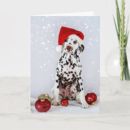 Dalmatische Kerstmis Kaart