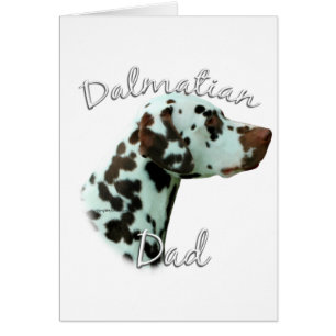 Dalmatische (lever) Papa 2