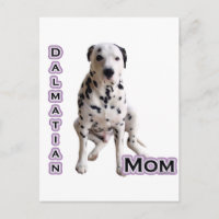 Dalmatische Moeder 4