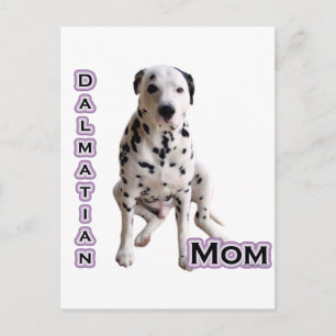 Dalmatische Moeder 4 Briefkaart