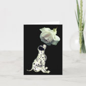 Dalmatische papaver en witte rozennoot Kaart (Voorkant)