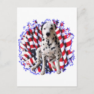 Dalmatische Patriot Briefkaart