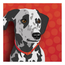 Dalmatische Pop Art Poster