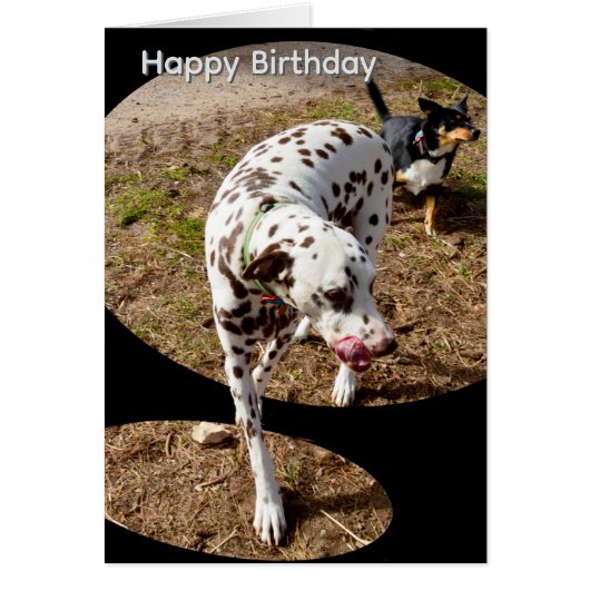 Dalmatische Popout Kunst, Verjaardagskaart (Voorkant)