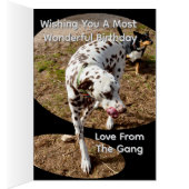Dalmatische Popout Kunst, Verjaardagskaart (Binnen (Rechts))