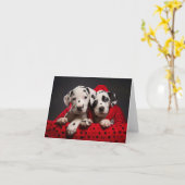 Dalmatische Puppies Kerst Kaart (Gele Bloem)