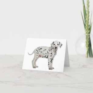 Dalmatische Puppy Hond Hallo Dank Je Wel Liefde, S Kaart