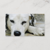 Dalmatische Restende Visitekaartjes (Achterkant)