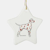 Dalmatische ster — leverspotter keramisch ornament (Rechts)
