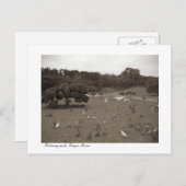 Dalseong Park, Daegu, briefkaart Zuid-Korea (Voorkant / Achterkant)