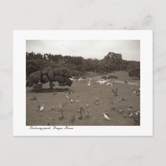 Dalseong Park, Daegu, carte postale de Corée du Su (Devant)