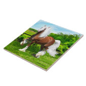 Dalton Tegeltje (Zijkant)