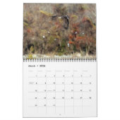 Dam Eagles Kalender (Mar 2026)