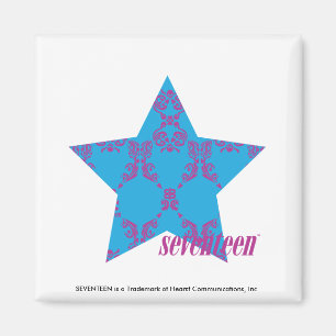 Damask Paars-Aqua 2 Magneet