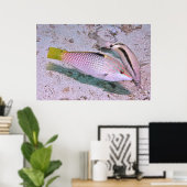 dambordwrasse poster (Thuiskantoor)