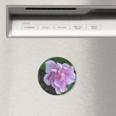 dame 092 magneet (Insitu (Vaatwasser))