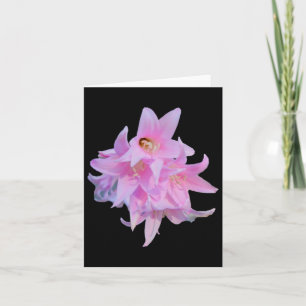 Dame Bloemen (belladonna lelie) Witte achtergrond Kaart