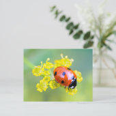 dame bovenaan briefkaart (Staand voorkant)