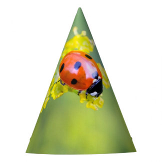 dame bovenaan feesthoedjes