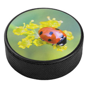 dame bovenaan hockey puck