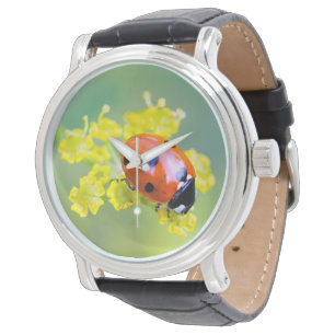 dame bovenaan horloge