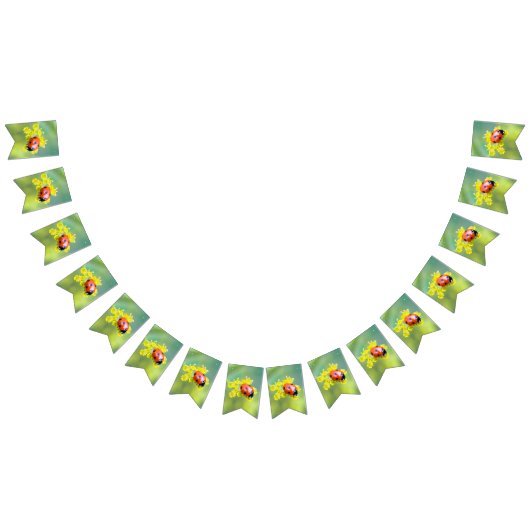 dame bovenaan vlaggetjes (Alle)